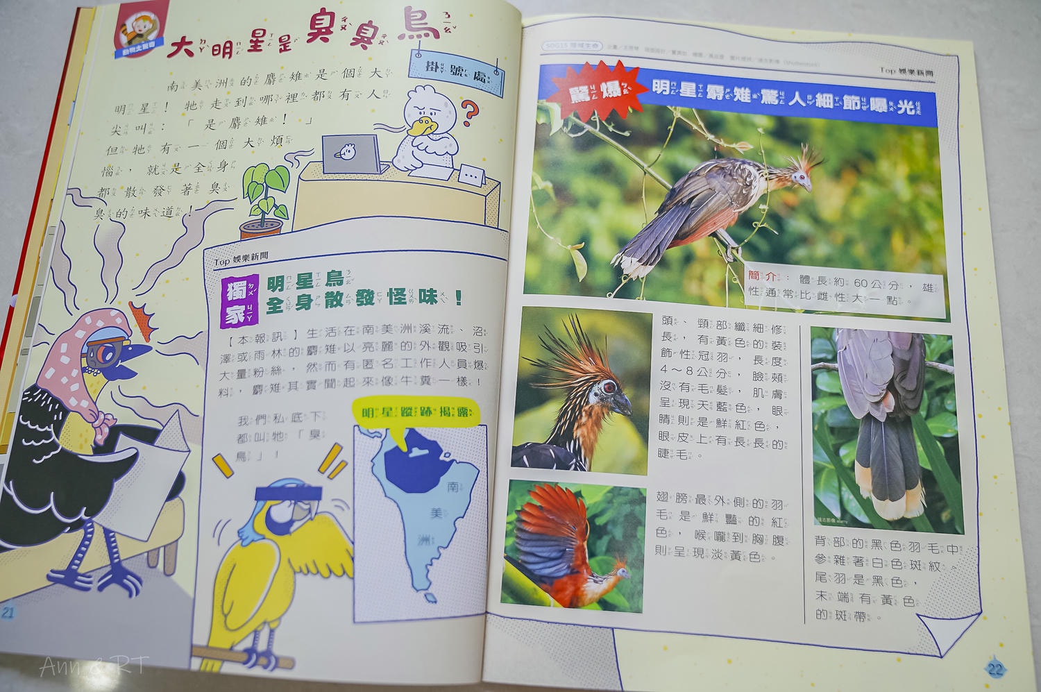 康軒學習雜誌週年慶團購開始囉!學前到初階訂閱6年多的心得分享。每個月固定閱讀吸收生活新知識。 - 第46張圖