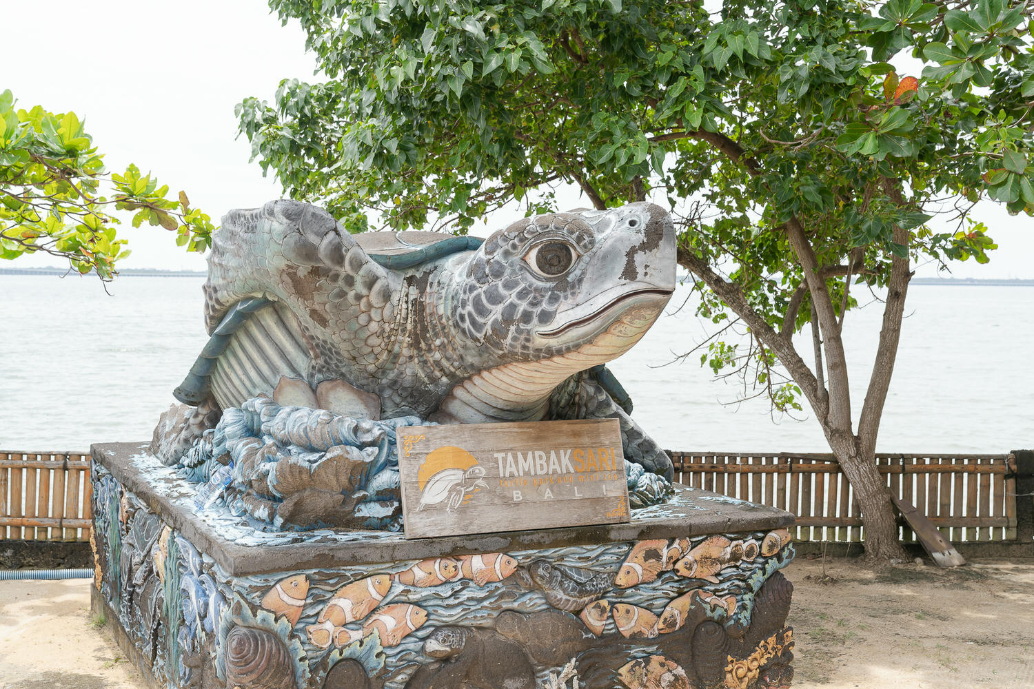 【峇里島】南灣海龜島。搭乘玻璃底船出海吹風。TambakSari Turtle Island - 第10張圖 TambakSari Turtle Island 峇里島海龜島