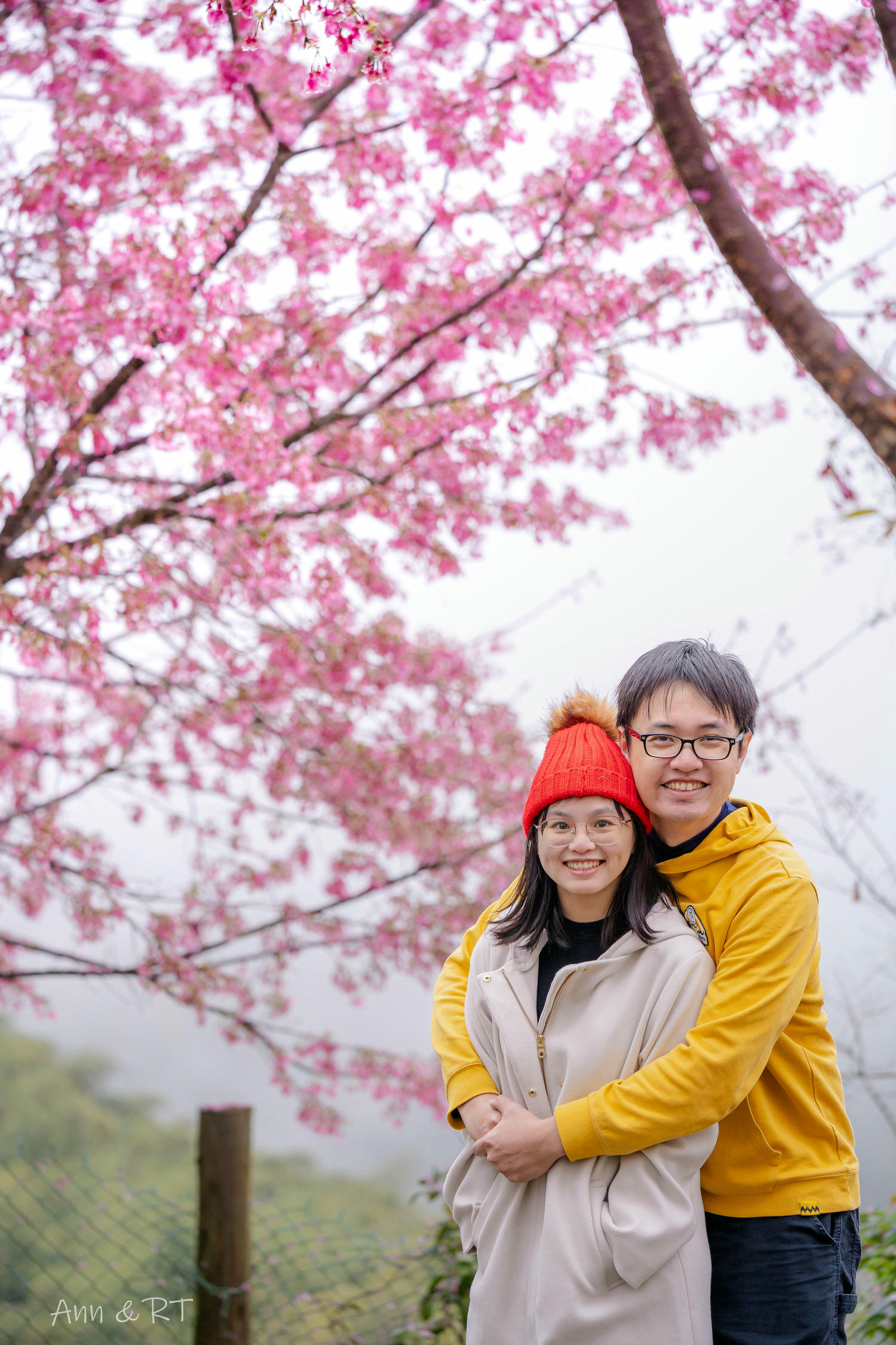 【新竹】蟬說霧繞絕美櫻花季二訪。趕快搶訂螢火蟲季與繡球花季。蟬說訂房優惠碼wr3201 - 第59張圖