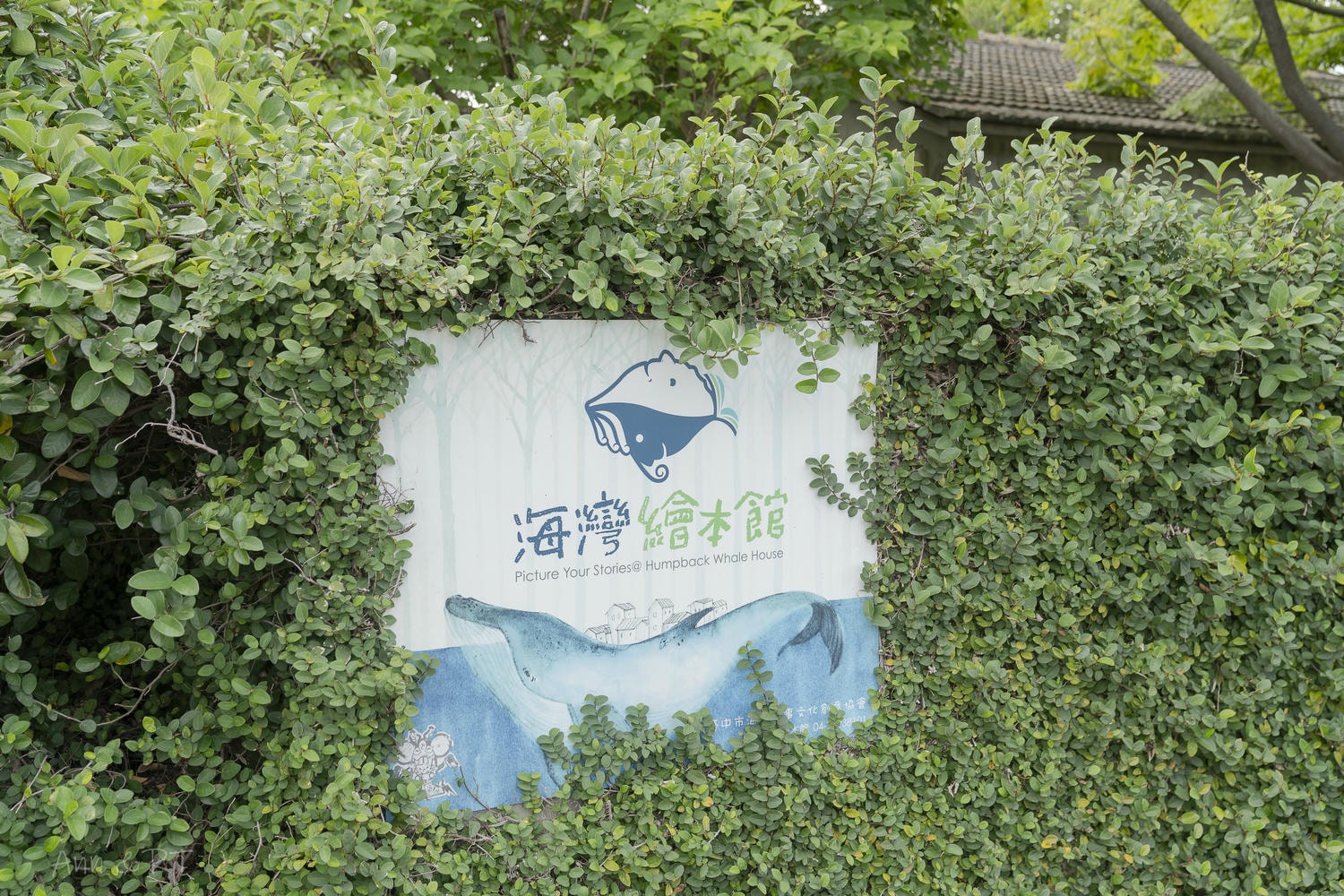 【台中】台中海線一日遊!梧棲老街、清水眷村、舶來品商圈,經發局推薦免費行程玩透透! - 第35張圖