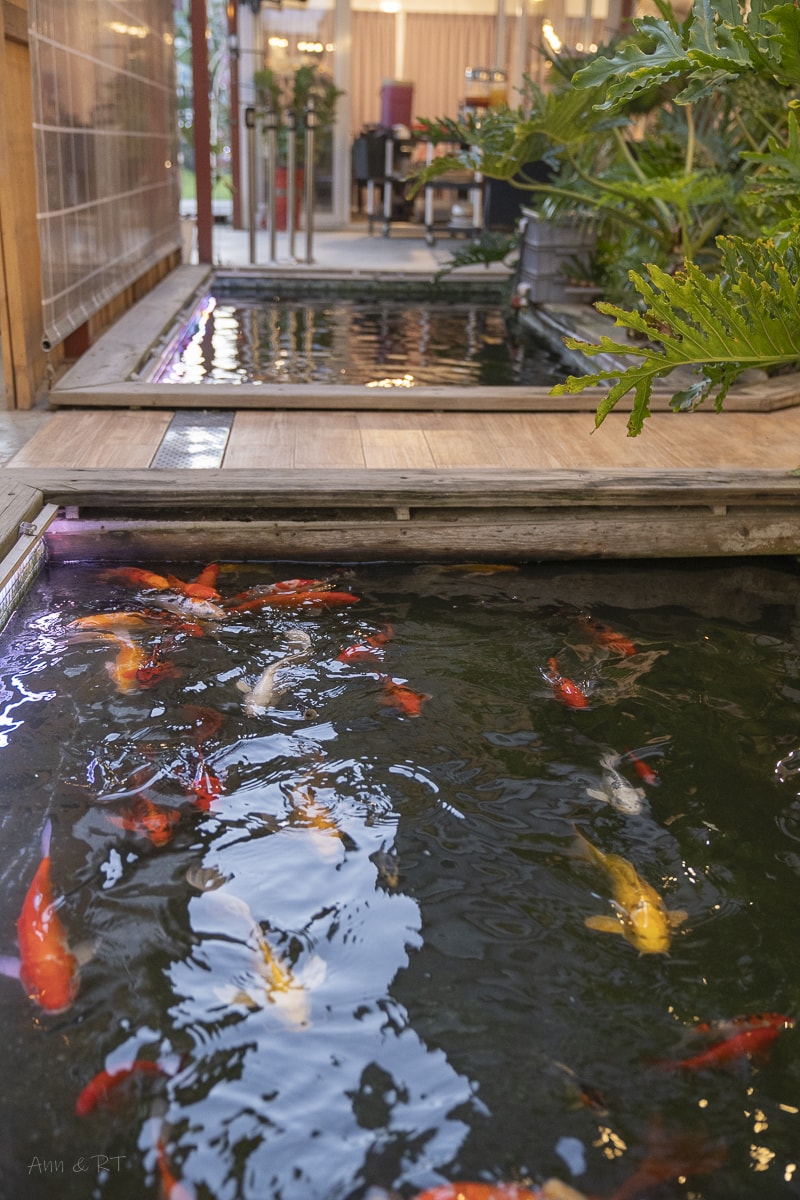 【彰化】北斗哈比雪兒親子/寵物友善餐廳。擁有大草坪綠地與親子遊戲區。車聚/戶外婚禮也適合! - 第21張圖