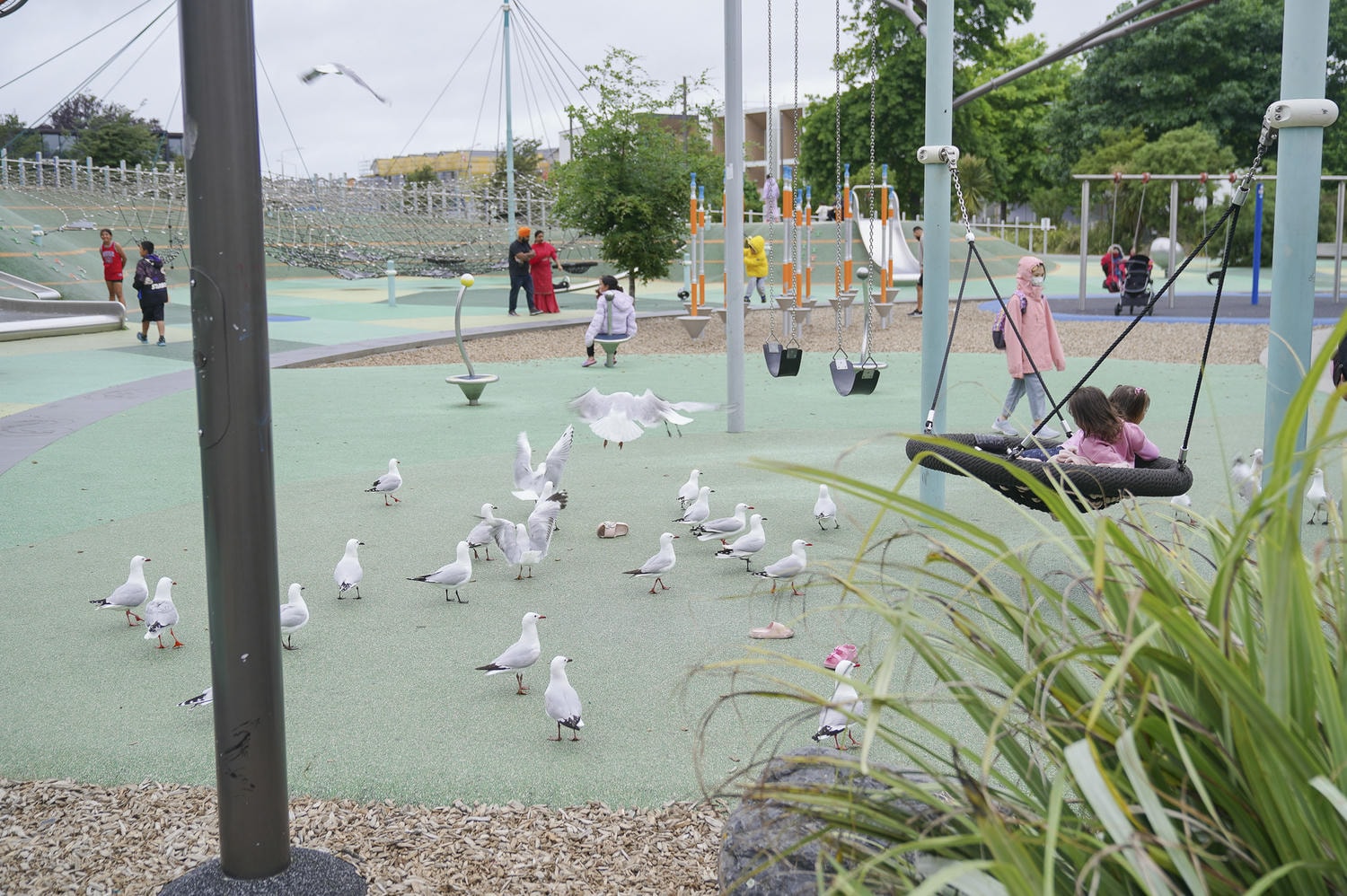 紐西蘭南島自由行DAY1。基督城市區景點。紙教堂。Margaret公園遊戲場。新攝政街。晚餐餐廳推薦 - 第3張圖