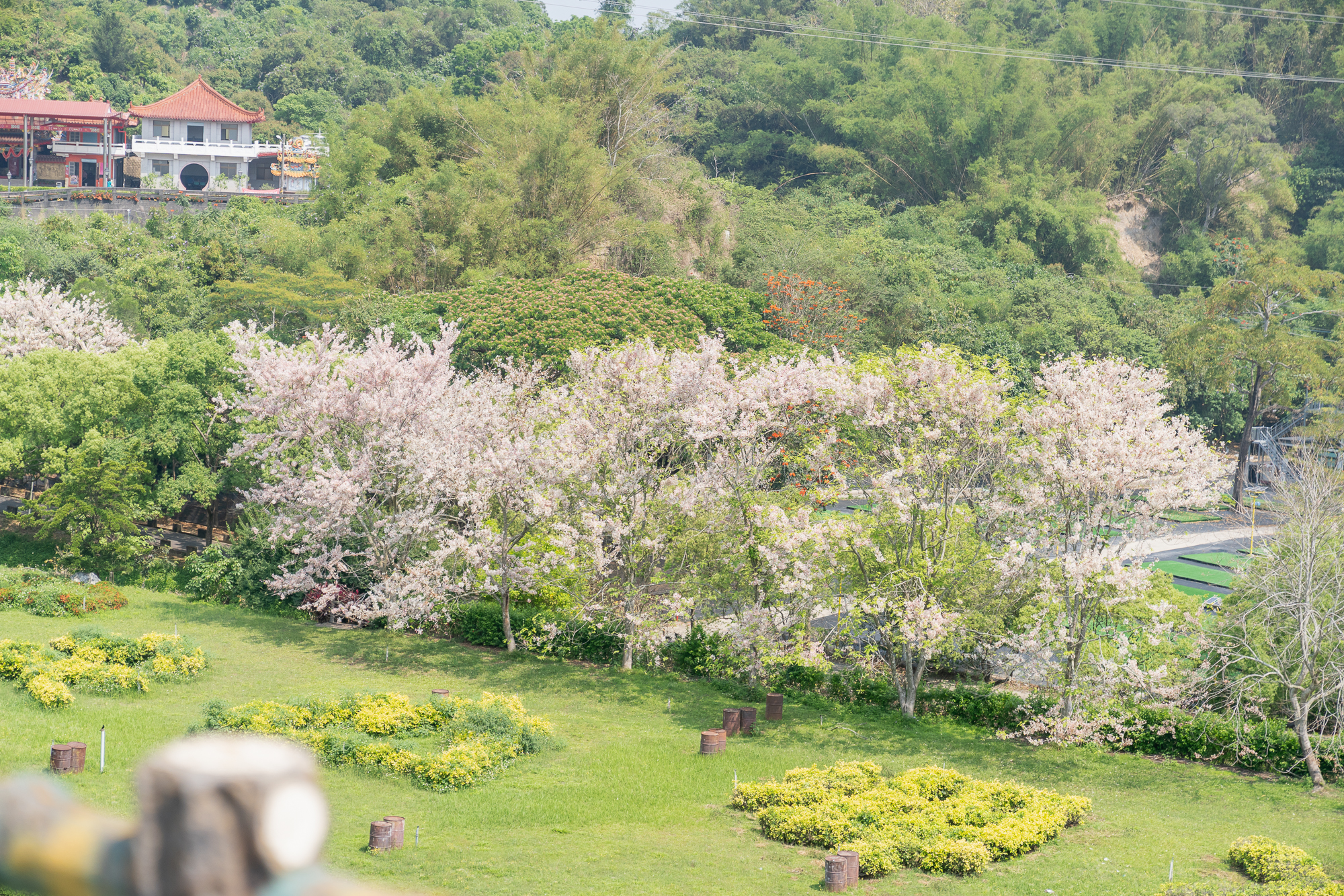 台糖柳營尖山埤渡假村。有山有湖100公頃廣闊園區。泳池Spa、小火車、搭船遊湖、獨木舟、攀樹、生態導覽…野炊露營也沒問題! - 第11張圖