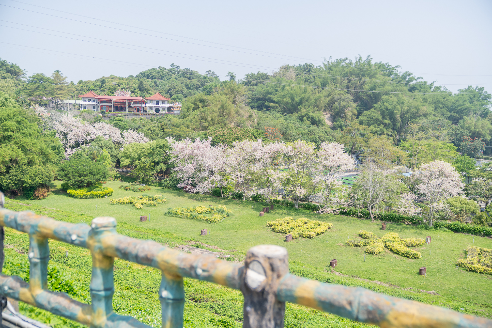 台糖柳營尖山埤渡假村。有山有湖100公頃廣闊園區。泳池Spa、小火車、搭船遊湖、獨木舟、攀樹、生態導覽…野炊露營也沒問題! - 第10張圖