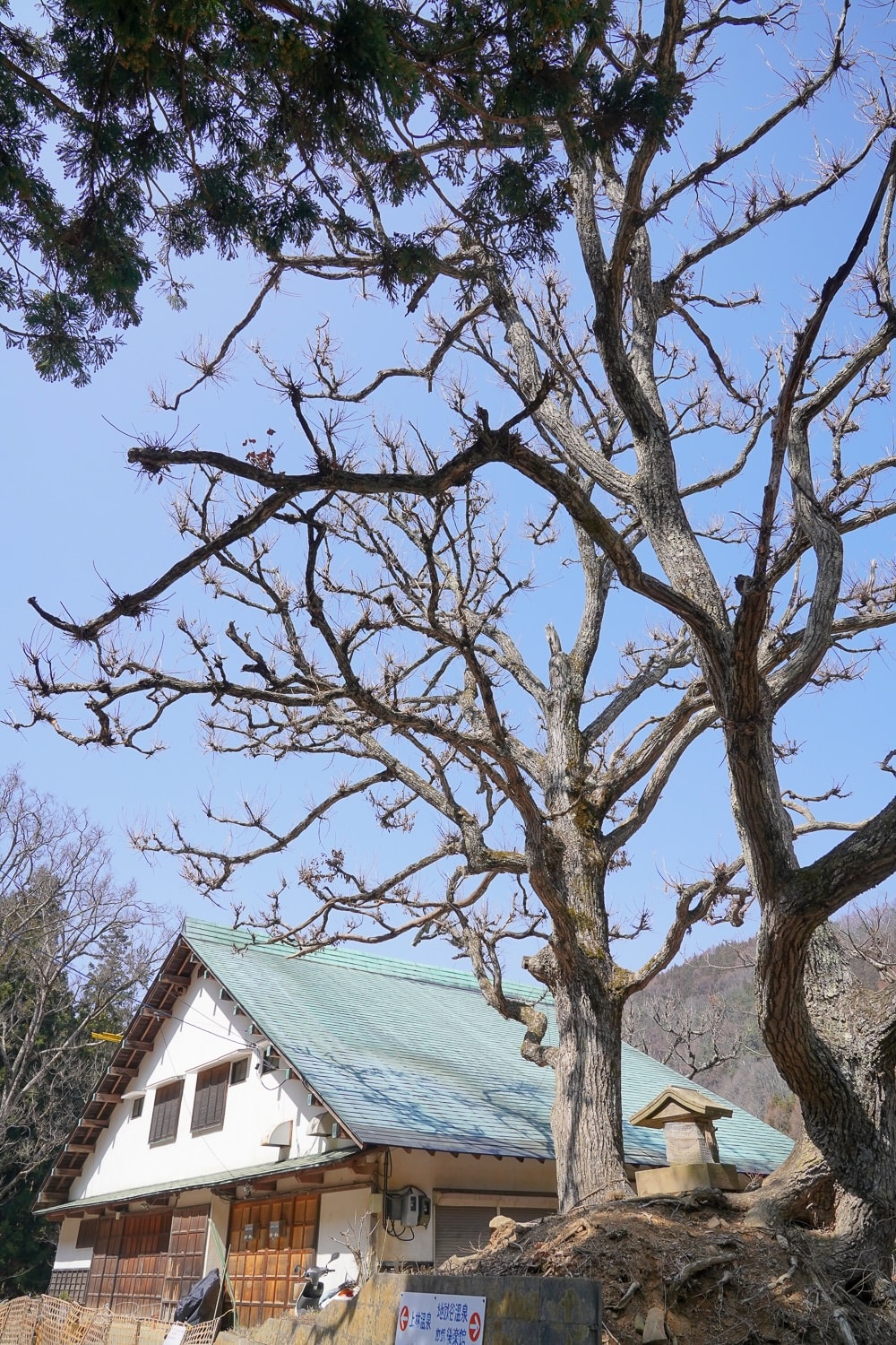 【日本新潟】樂天新井度假村 (Lotte Arai)滑雪/溫泉/度假。美黛子遊日本5日遊親子行程分享