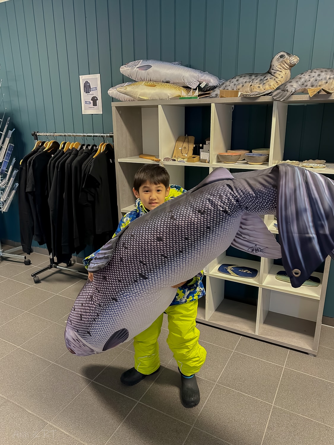 【挪威親子自由行】海中央的鮭魚養殖場體驗。羅弗敦自駕之旅