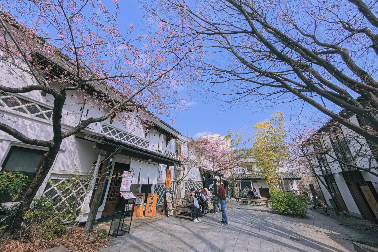 【日本新潟】樂天新井度假村 (Lotte Arai)滑雪/溫泉/度假。美黛子遊日本5日遊親子行程分享