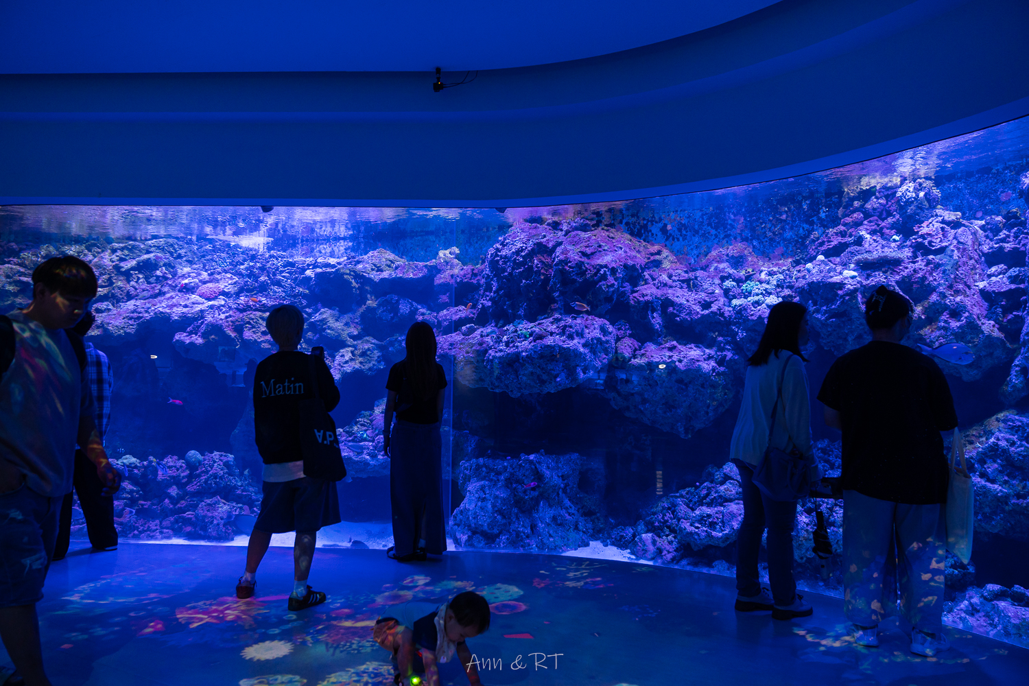 【桃園】夜宿XPARK海洋館。COZZI Blu和逸飯店·桃園館｜Blu Night 星級海洋眠旅。睡在大水族缸前超夢幻