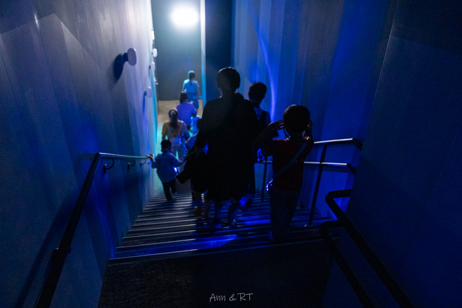 【桃園】夜宿XPARK海洋館。COZZI Blu和逸飯店·桃園館｜Blu Night 星級海洋眠旅。睡在大水族缸前超夢幻