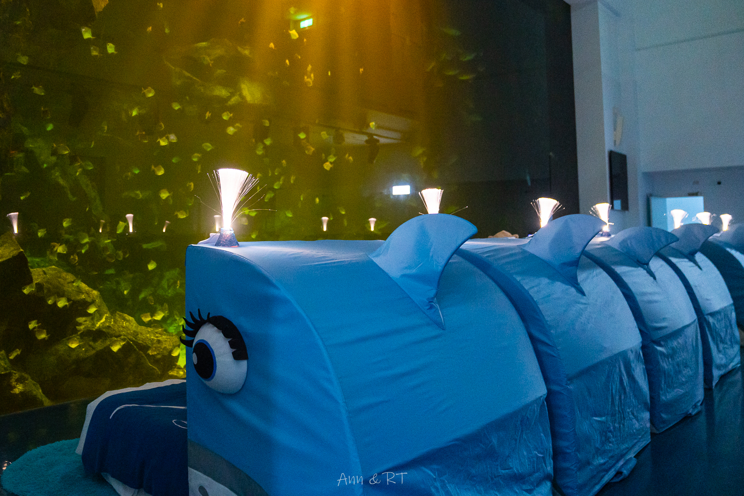 【桃園】夜宿XPARK海洋館。COZZI Blu和逸飯店·桃園館｜Blu Night 星級海洋眠旅。睡在大水族缸前超夢幻