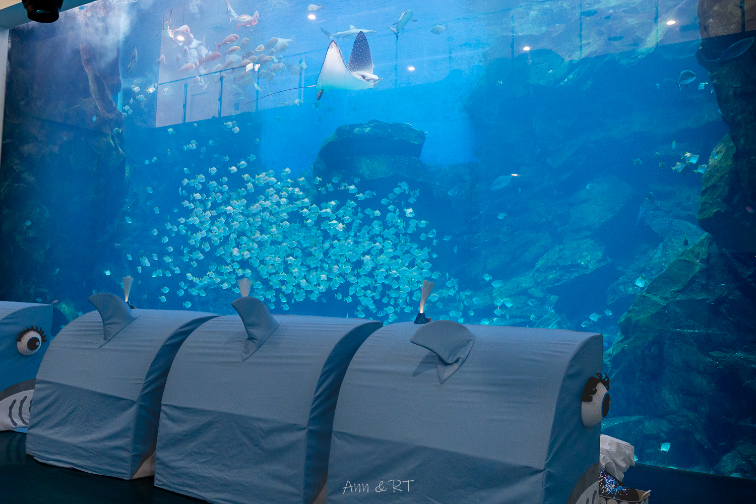 【桃園】夜宿XPARK海洋館。COZZI Blu和逸飯店·桃園館｜Blu Night 星級海洋眠旅。睡在大水族缸前超夢幻