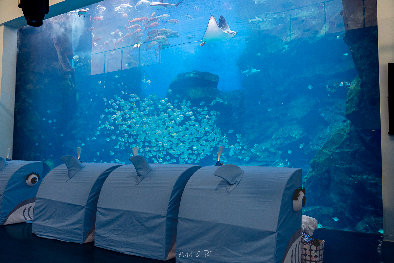 【桃園】夜宿XPARK海洋館。COZZI Blu和逸飯店·桃園館｜Blu Night 星級海洋眠旅。睡在大水族缸前超夢幻