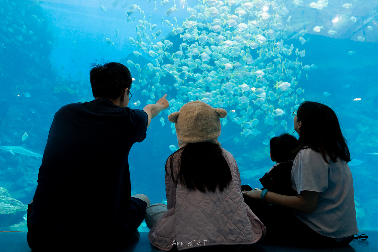 【桃園】夜宿XPARK海洋館。COZZI Blu和逸飯店·桃園館｜Blu Night 星級海洋眠旅。睡在大水族缸前超夢幻