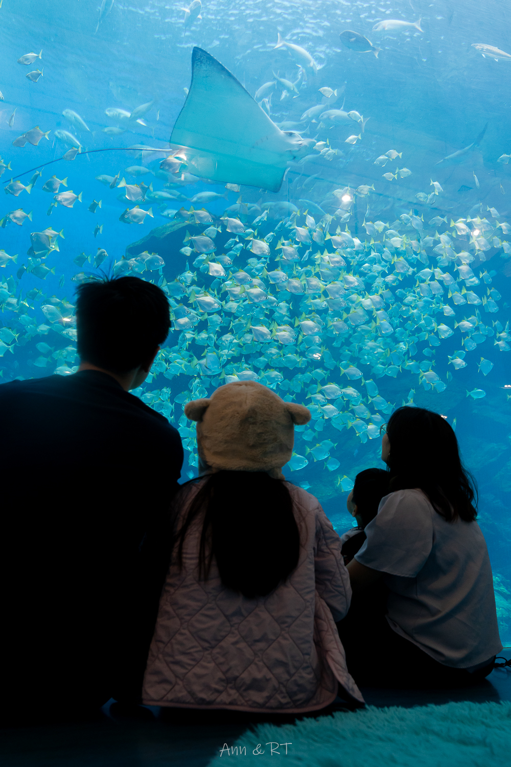 【桃園】夜宿XPARK海洋館。COZZI Blu和逸飯店·桃園館｜Blu Night 星級海洋眠旅。睡在大水族缸前超夢幻