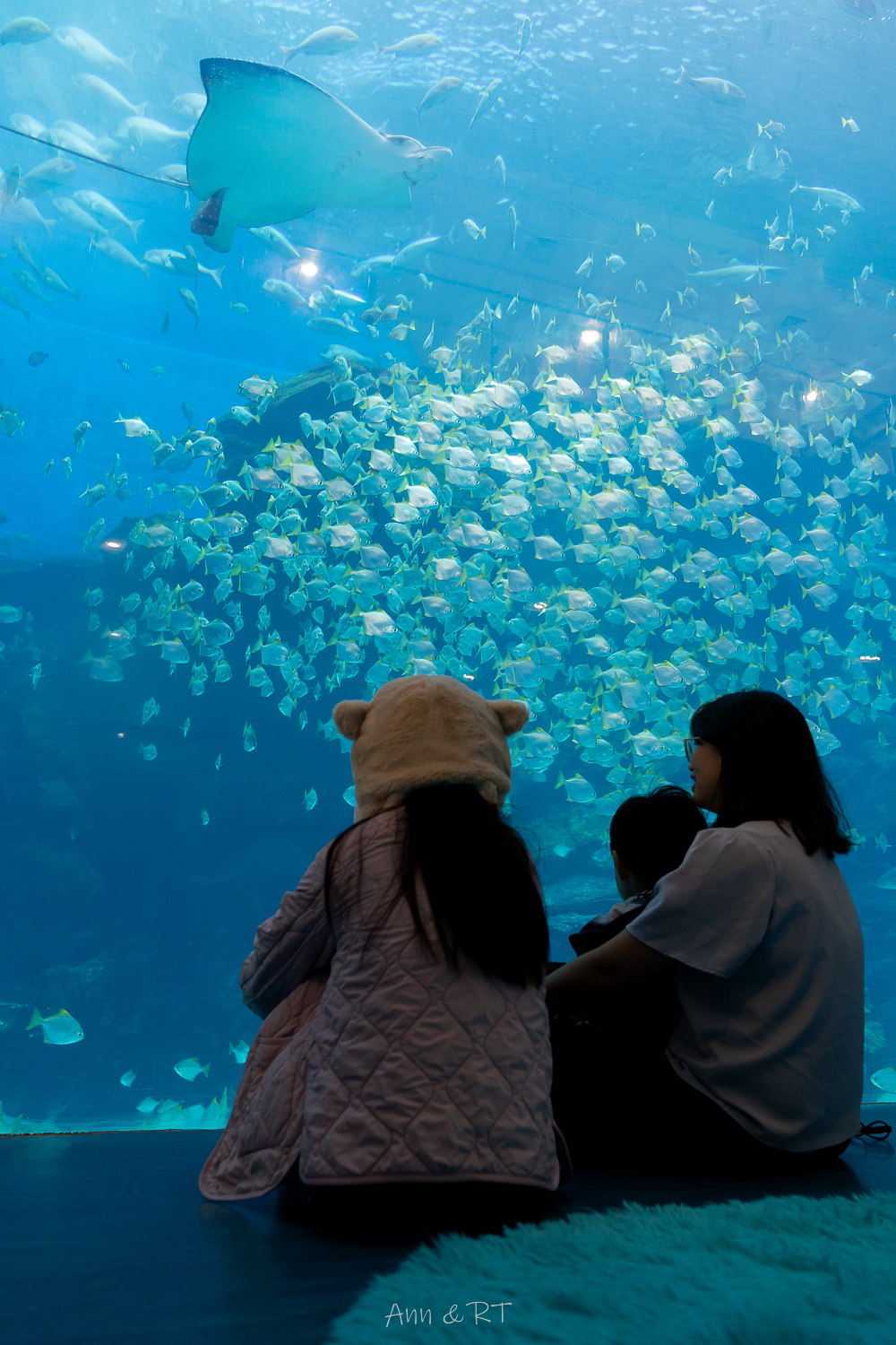 【桃園】夜宿XPARK海洋館。COZZI Blu和逸飯店·桃園館｜Blu Night 星級海洋眠旅。睡在大水族缸前超夢幻