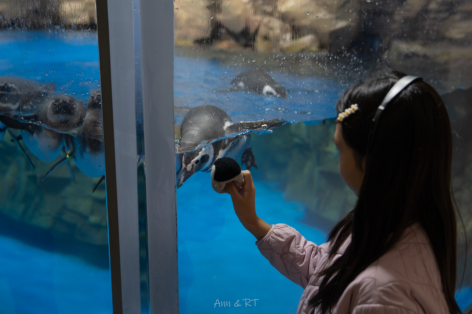 【桃園】夜宿XPARK海洋館。COZZI Blu和逸飯店·桃園館｜Blu Night 星級海洋眠旅。睡在大水族缸前超夢幻
