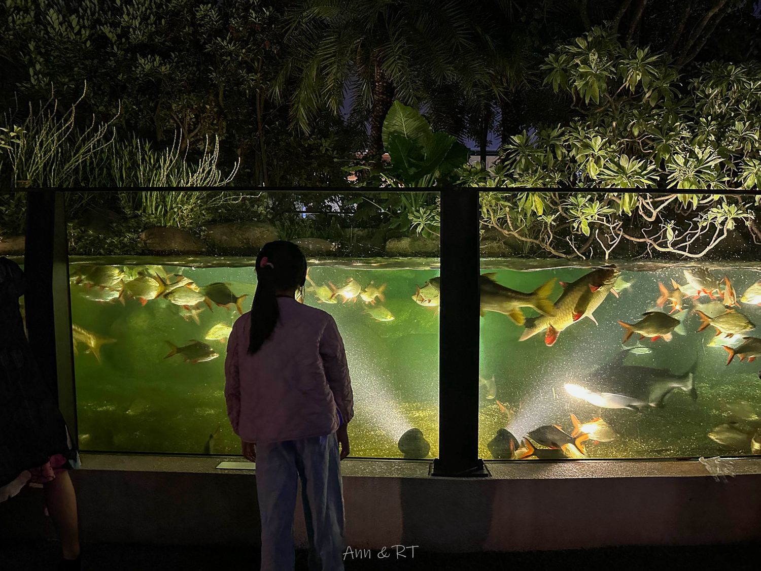 【桃園】夜宿XPARK海洋館。COZZI Blu和逸飯店·桃園館｜Blu Night 星級海洋眠旅。睡在大水族缸前超夢幻